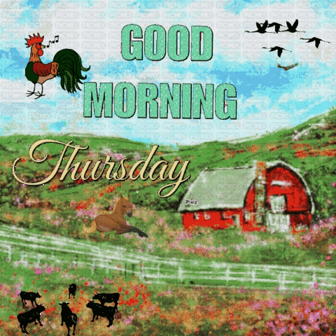 Good Thursday Morning GIF. This 480 x 480 animated GIF is part of our guten morgen donnerstag collection. Created by sobronxjourno. View the original…
