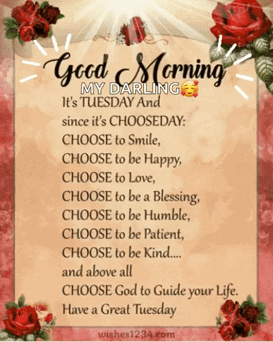 Good Tuesday Morning GIF