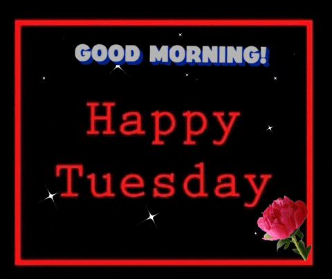 Good Tuesday Morning GIF