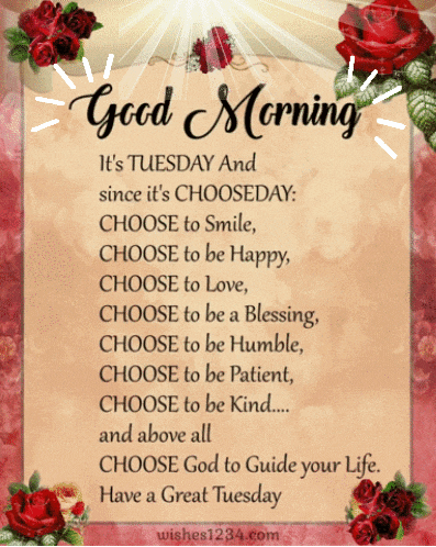 Good Tuesday Morning GIF