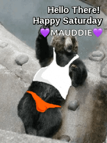 Goodafternoon Hellothere GIF