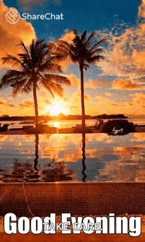 Goodevening Sunset GIF. This 299 x 498 animated GIF is part of our immagini buona serata collection. Related themes include sunset. Created by tsandkids…