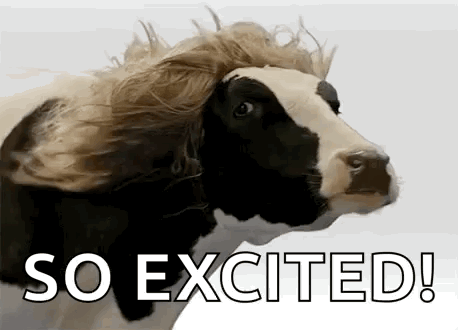 Goodhairday Cow GIF