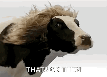 Goodhairday Cow GIF