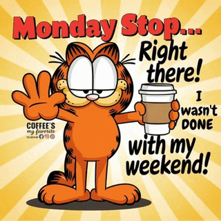 Goodmorning Cat Meme