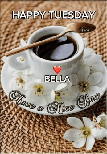 Goodmorning Happytuesday GIF