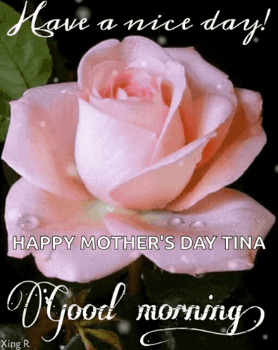 Goodmorning Haveaniceday GIF