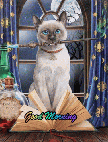 Goodmorning GIF. This 379 x 498 animated GIF is part of our lady and the tramp siamese cats collection. Created by jules1234. View the original animation…