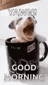 Goodmorning GIF