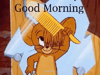 Goodmorning Tomandjerry GIF