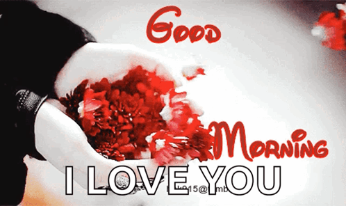 Goodmorning GIF