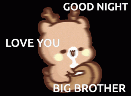 Goodnight Big Brother Good Night GIF. This 498 x 365 animated GIF is part of our nice one bruva collection. Related themes include good night. Created by…