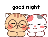 Goodnight Cat Sticker