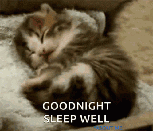 Goodnight Cat GIF