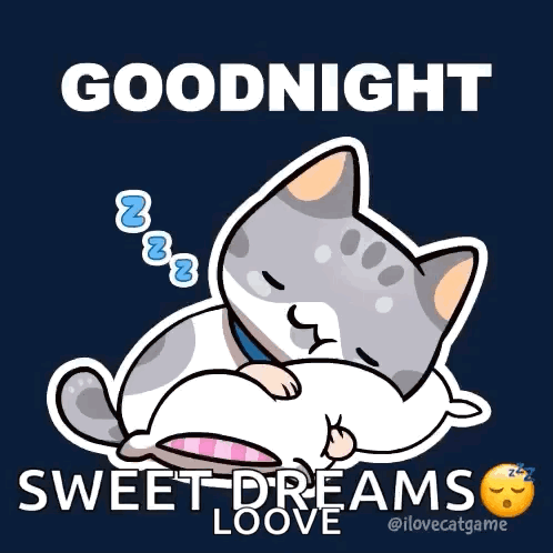Goodnight Good Night GIF