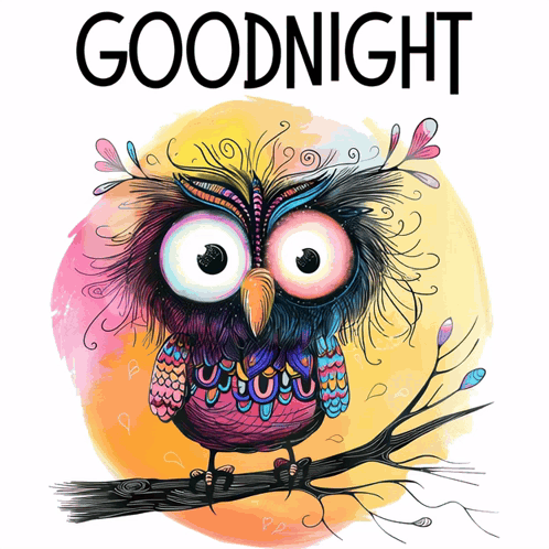 Goodnight Good Night GIF