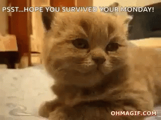Goodnight Hope You Survived Your Monday GIF