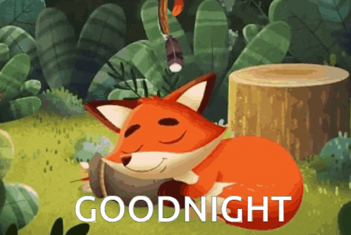 Goodnight Odo GIF