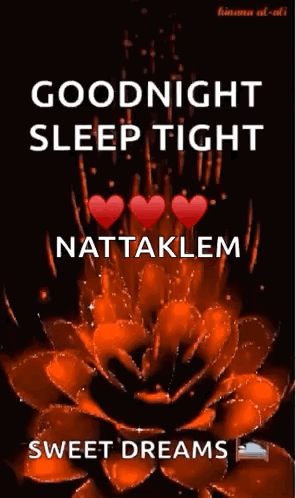 Goodnight Sleep Tight GIF. This 296 x 498 animated GIF is part of our schlaf gut und traum was schones collection. Related themes include flower, goodnight…