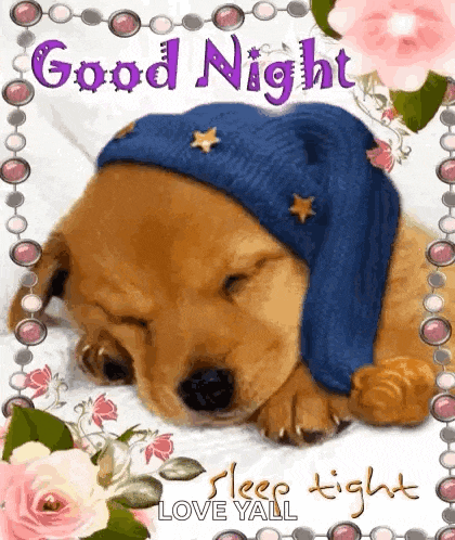 Goodnight Sleeptight GIF