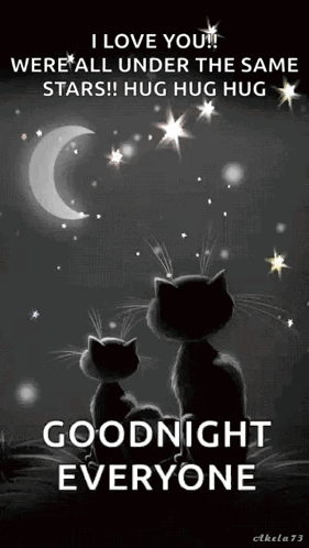 Goodnight Sparkles GIF