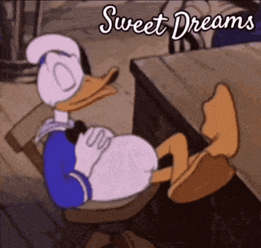 Goodnight Sweet Dreams Donald Duck GIF