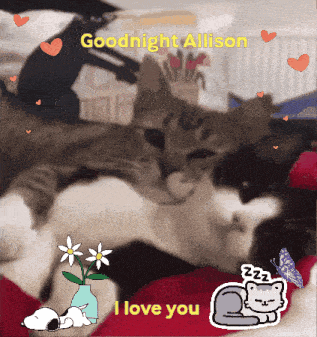 Goodnight GIF