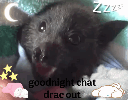 Goodnightbat Dracgoodnight GIF
