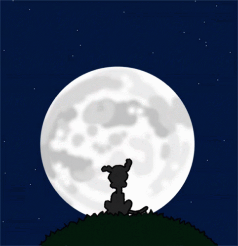Goodnightlove Goodnightloveyou GIF. This 482 x 498 animated GIF is part of our simpsons suspicious dog collection. Created by Dravyn. View the original…