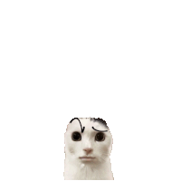 Goofy Ahh Cat Sticker