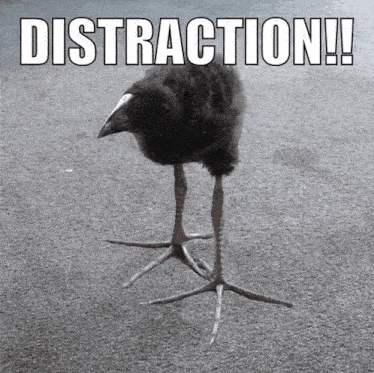 Goofy Bird Damn GIF