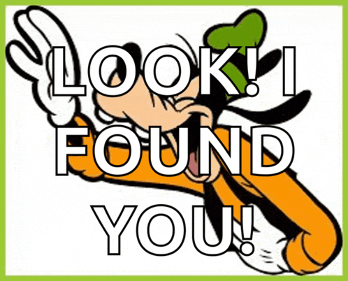 Goofy Meme