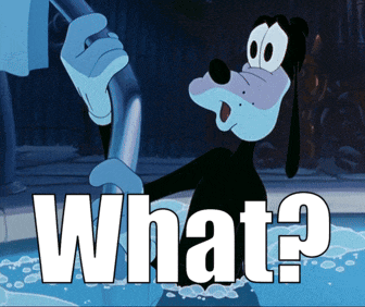 Goofy What GIF