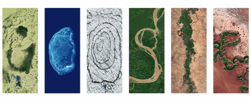 Google Google Earth Day 2024 GIF