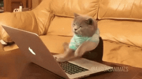 Google It GIF