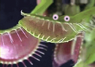 Googly Eyes Silly GIF