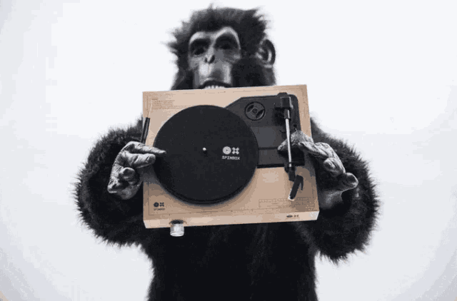 Gorila Spinbox GIF