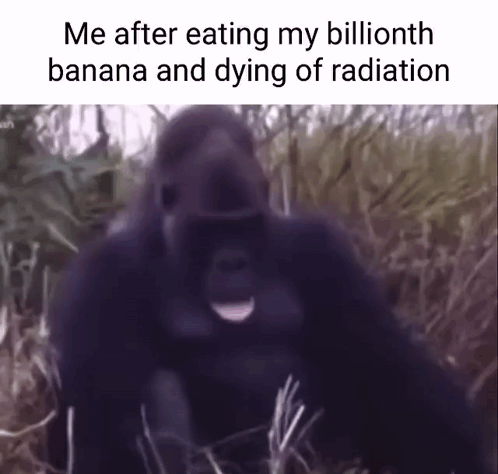 Gorilla Banana GIF