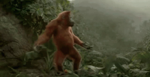 Gorilla Dance GIF