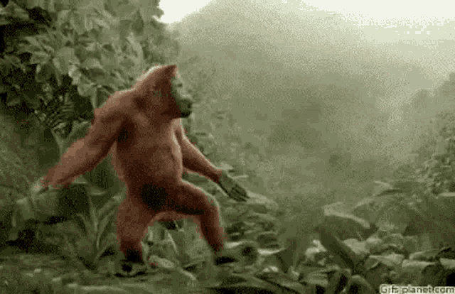 Gorilla Dance GIF