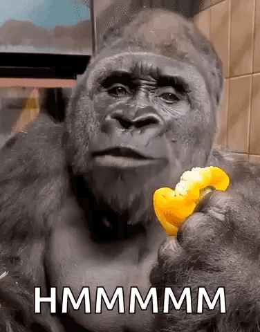 Gorilla Side Eye GIF