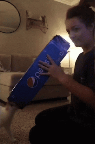 Gotcha Cat GIF