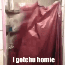 Gotchu Homie GIF