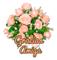 Gracias Amiga Sticker