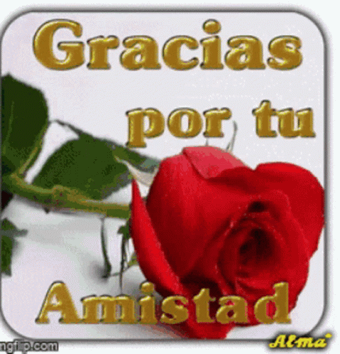 Gracias Por Tu Amistad Rose GIF