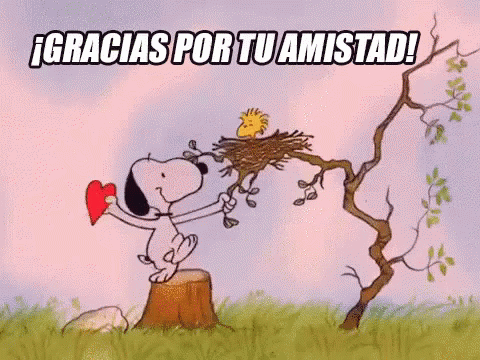 Gracias Por Tu Amistad GIF