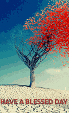 Granny GIF