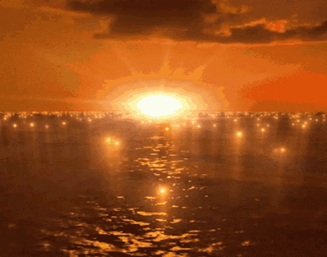 Grave Of The Fireflies Sunset Shimmer GIF