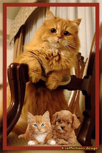 Great Day Have A Great Day GIF