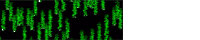 Green Code Sticker